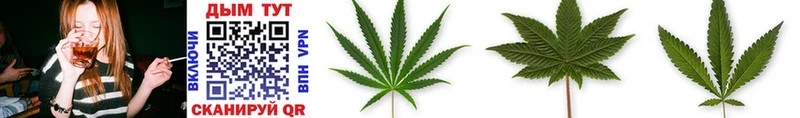 Каннабис White Widow  даркнет клад  Элиста 